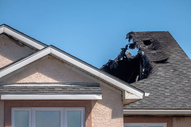 Top rated local Fire Damage Removal specialists in Edgewater, NJ